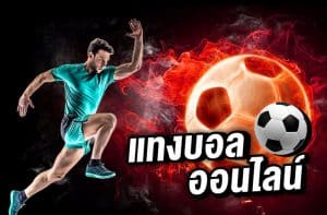 เล่นบอลที่นี่