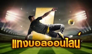 แทงบอลโบนัสฟรีออนไลน์