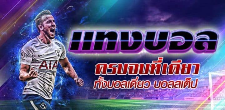 เว็บแทงบอล ทรูวอลเล็ต